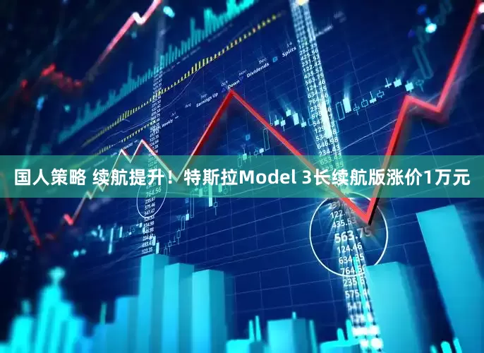 国人策略 续航提升！特斯拉Model 3长续航版涨价1万元