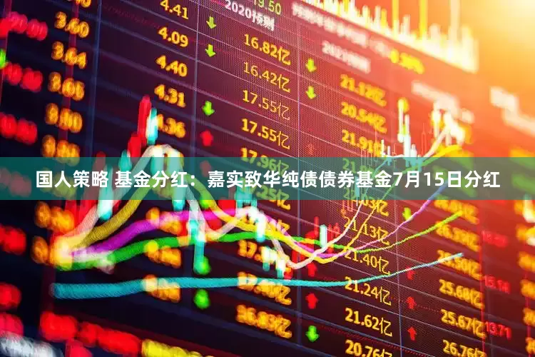 国人策略 基金分红：嘉实致华纯债债券基金7月15日分红