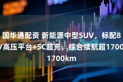 国华通配资 新能源中型SUV，标配800V高压平台+5C超充，综合续航超1700km